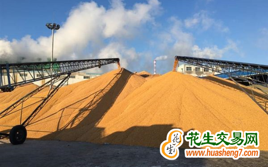 黑龍江：糧食收儲已近400億斤 ()