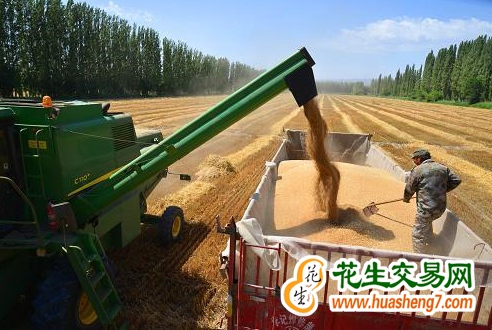 新疆：糧食多項生產指標全國領先 ()