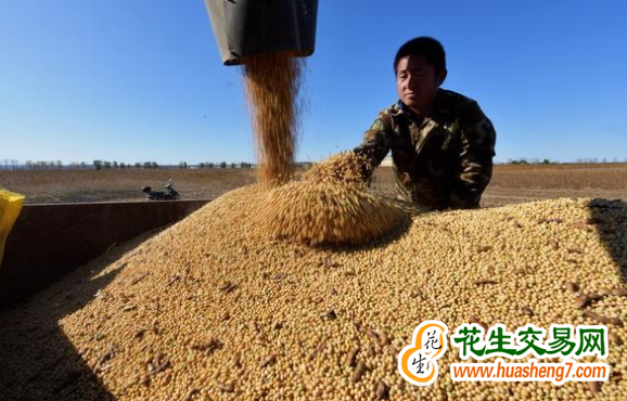 山西省多措并舉推進大豆產(chǎn)…
